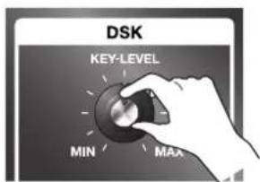 DSK KEY-LEVEL MIN MAA