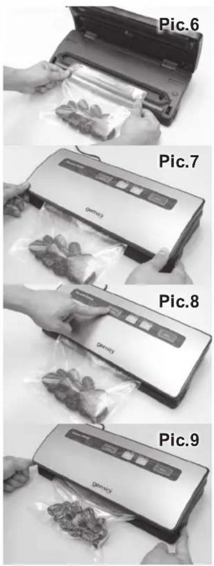 Pic.6 Pic.7 Pic.8 Pic.9