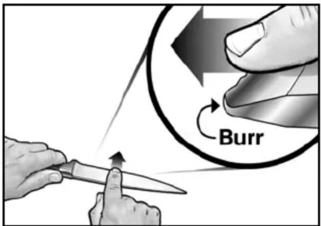 Burr