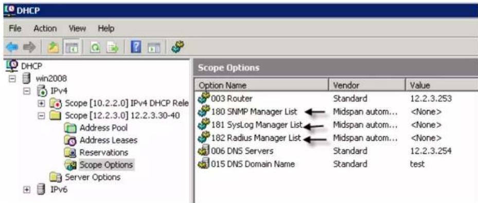 DHCP File Action View Help DHCP win2008 IPv4 Scope [10.2.2.0] IPv4 DHCP Rele Scope [12.2.3.0] 12.2.3.30-40 Address Pool Address Leases Reservations Scope Options Server Options IPv6 Scope Options Option Name Vendor Value 003 Router Standard 12.2.3.253 180 SNMP Manager List Midspan autom... 181 SysLog Manager List Midspan autom... 182 Radius Manager List Midspan autom... 006 DNS Servers Standard 12.2.3.254 015 DNS Domain Name Standard test