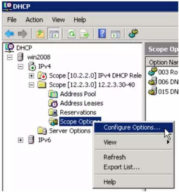DHCP File Action View Help DHCP win2008 IPv4 Scope [10.2.2.0] IPv4 DHCP Rele Scope [12.2.3.0] 12.2.3.30-40 Address Pool Address Leases Reservations Scope Options... Server Options IPv6 Configure Options... View Refresh Export List... Help