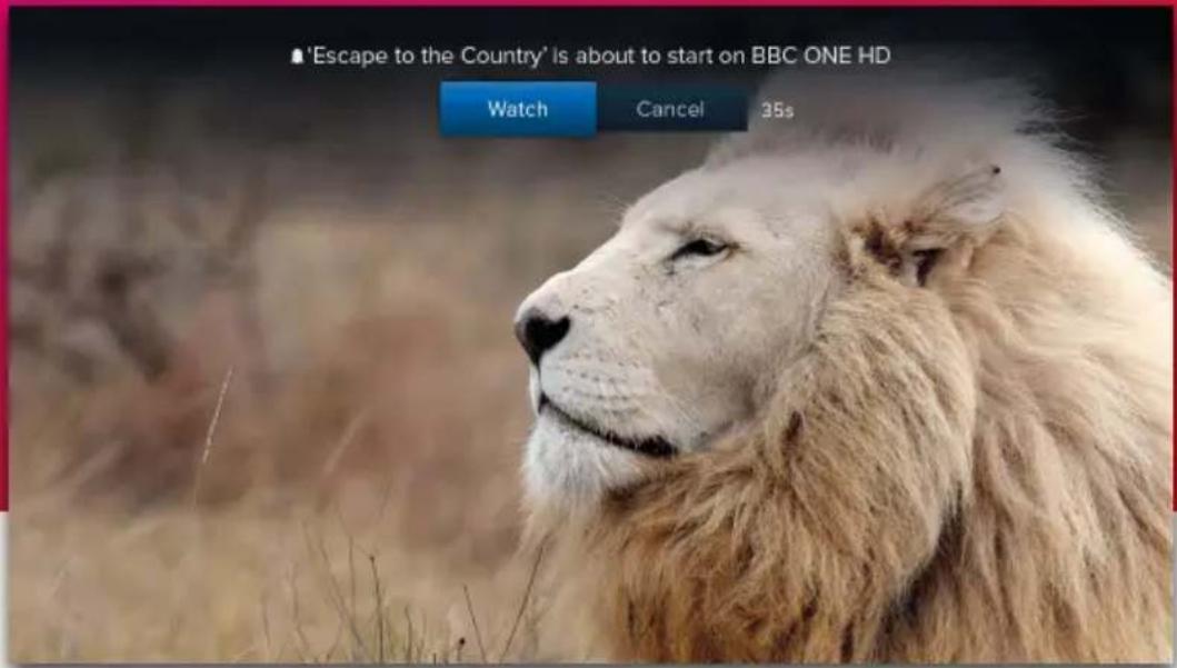 'Escape to the Country' is about to start on BBC ONE HD Watch Cancel 35s