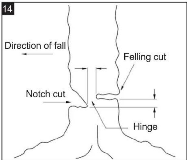 14 Direction of fall Notch cut Felling cut Hinge