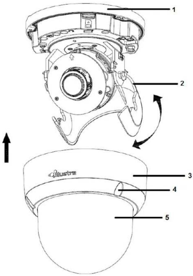 1 2 3 4 5 dilustra