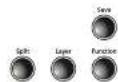 Kurzweil CGP220 - Function Button - 1