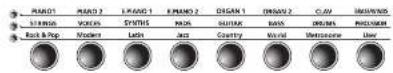 Kurzweil CGP220 - Bank LEDs and Category Buttons - 1