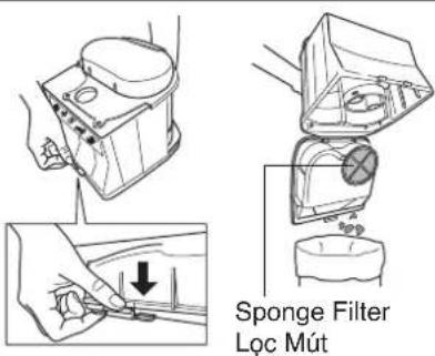 Sponge Filter Lọc Mút