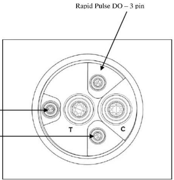 Rapid Pulse DO - 3 pin T C
