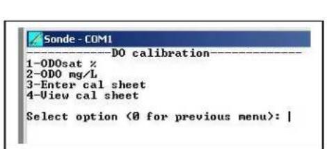 Sonde - COM1 ——DO calibration—— 1-ODOsat % 2-ODO mg/L 3-Enter cal sheet 4-View cal sheet Select option (0 for previous menu): |