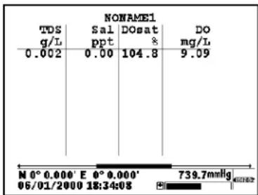 YSI 6095B - EXAMPLE 1 - SIMPLE SINGLE POINT LOGGING TO SONDE MEMORY - 8