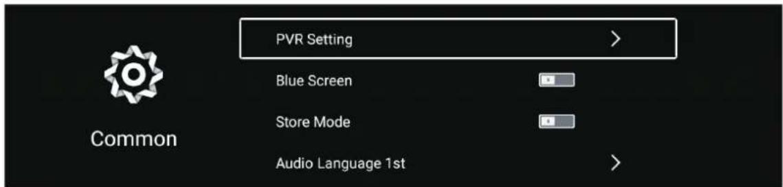 PVR Setting > Blue Screen Store Mode Audio Language 1st Common