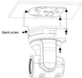 black screw