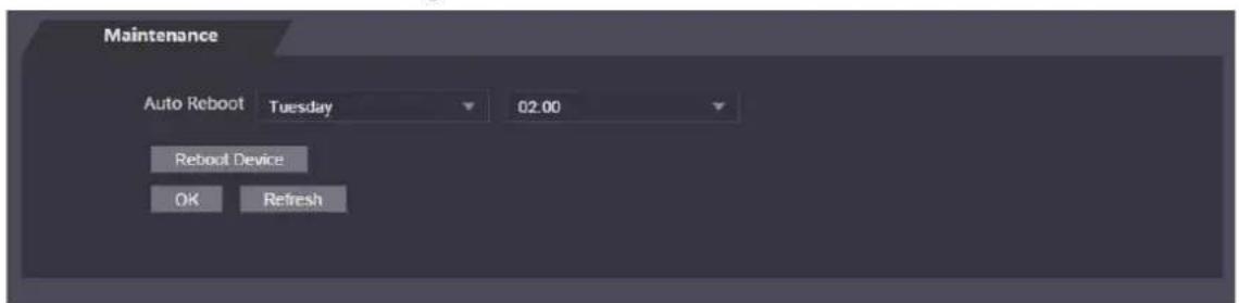 Maintenance Auto Reboot Tuesday 02.00 Reboot Device OK Refresh