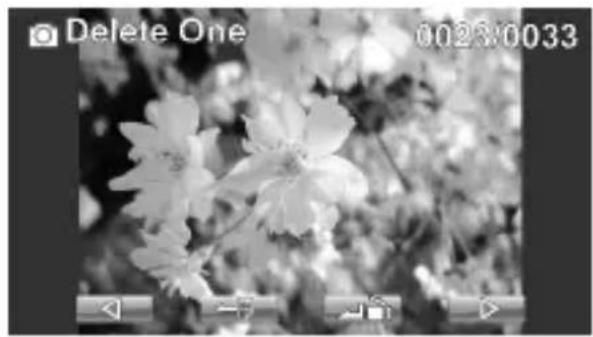 AGFA DV-1005 - Delete - 2