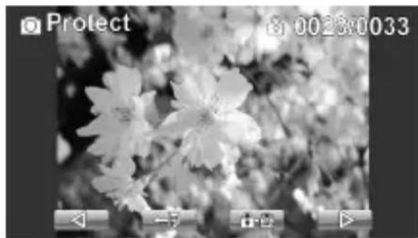 AGFA DV-1005 - Protect - 2