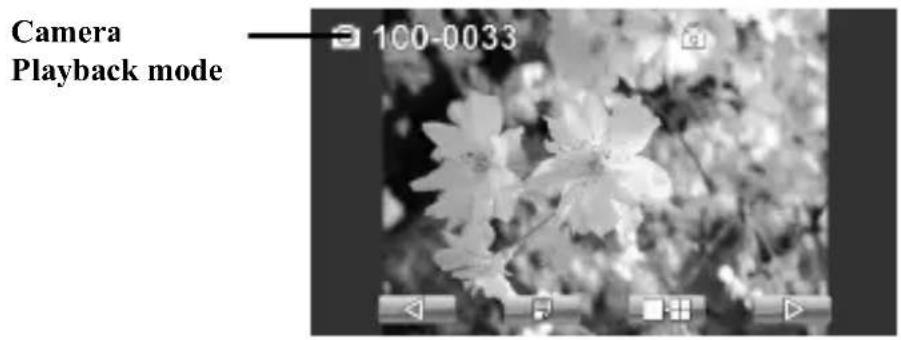 Camera Playback mode 100-0033