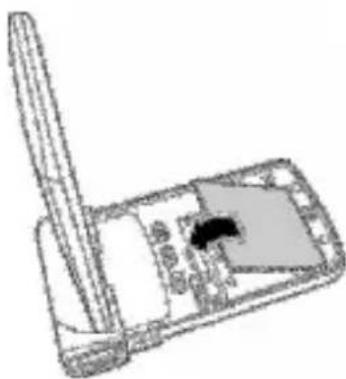 AGFA DV-1019 - Inserting the batteries - 2