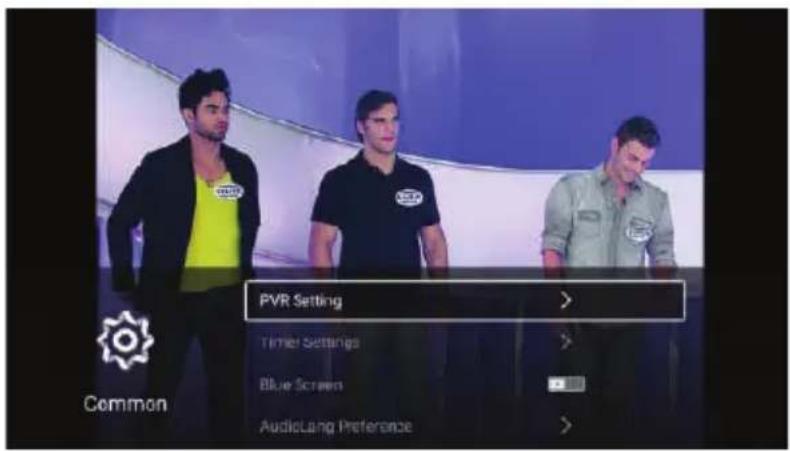 PVR Setting > Timer Settings > Blue Screen AudicLang Preference >