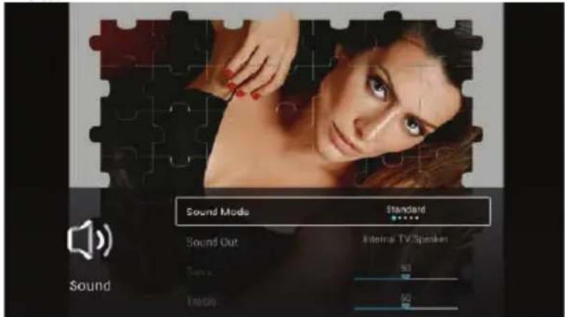 Sound Mode Standard Sound Out Internal TV/Speaker Tens: 50 Inside: 50 Sound