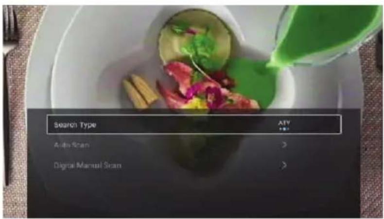 Search Type Auto Scan Digroal Manual Scan ATV *.*