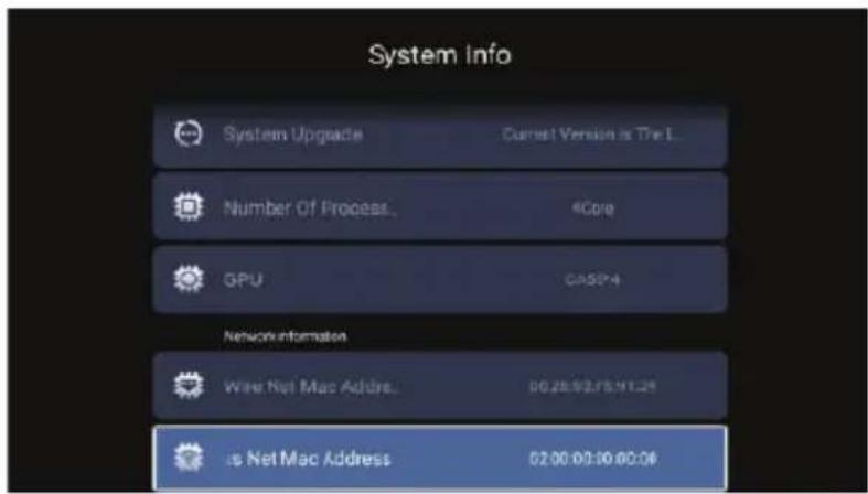 System Info System Upgrade Current Version is The L Number Of Process. ©Core GPU CASP4 Network Information Wire Net Mac Address 00:28:02:15:11:29 is Net Mac Address 02:00:00:00:00:06