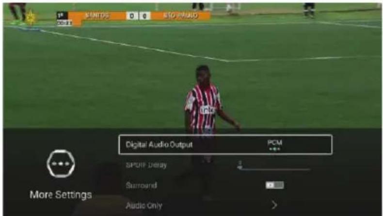 1st MONITOR 0 G SIO RADIO 2018 Digital Audio Output PCM More Settings SPURP Delay Surround Audio Only >