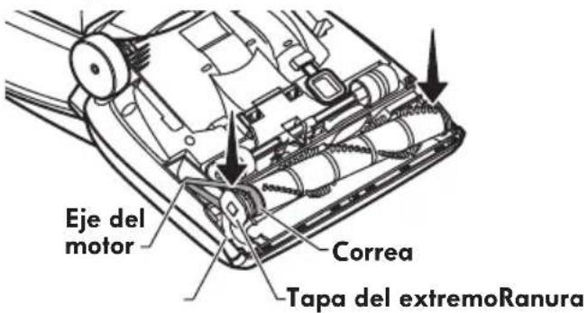 Eje del motor Correa Tapa del extremoRanura