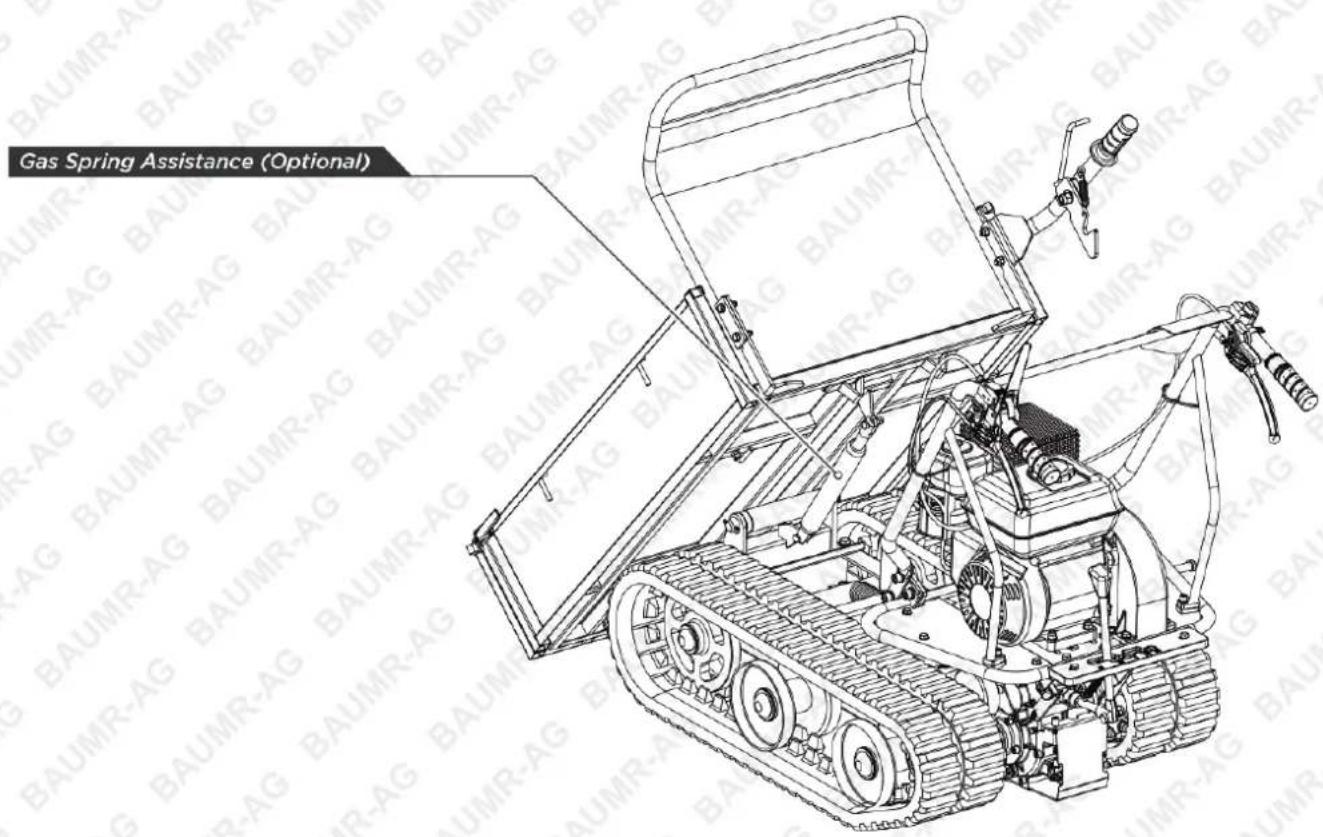Gas Spring Assistance (Optional)