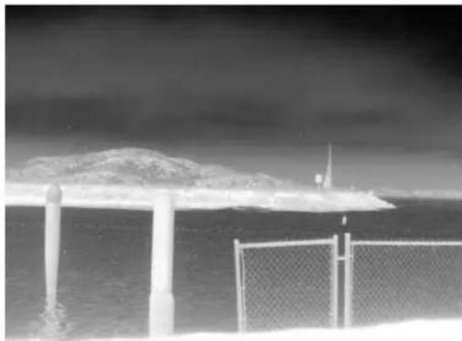 FLIR Neutrino - AGC ROI Tab - 2