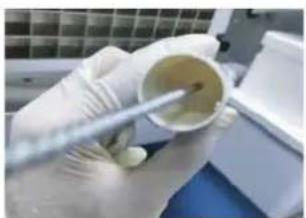 Close-up of gloved hands holding a small container with a pipette, no visible text or symbols