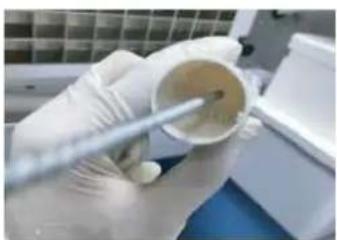 Close-up of gloved hands holding a small cylindrical object with a metal rod inserted, no visible text or symbols