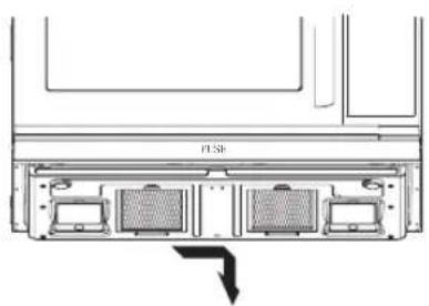 FLSR