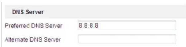DNS Server Preferred DNS Server 8.8.8.8 Alternate DNS Server