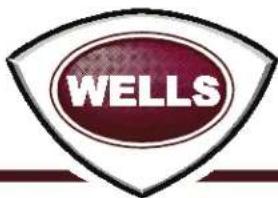 WELLS