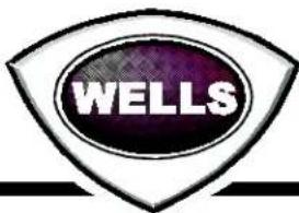 WELLS
