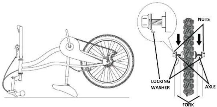 NUTS LOCKING WASHER AXLE FORK
