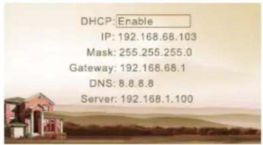 DHCP: Enable IP: 192.168.68.103 Mask: 255.255.255.0 Gateway: 192.168.68.1 DNS: 8.8.8.8 Server: 192.168.1.100