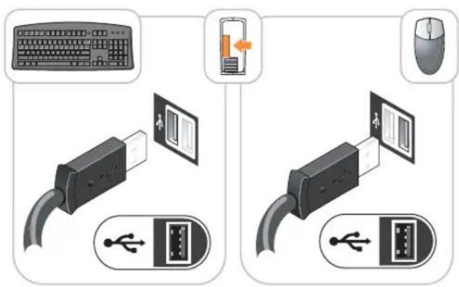 DELL OptiPlex GX280 - Instalace klávesnice a myši - 1