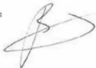 Abstract curved line drawing with no text or symbols