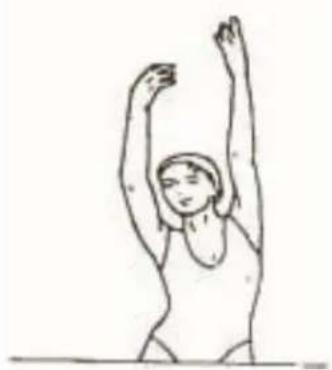York Fitness T700 Plus - ARM STRETCHING EXERCISES - 1