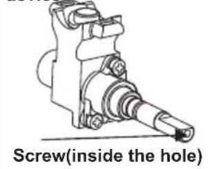 Screw(inside the hole)