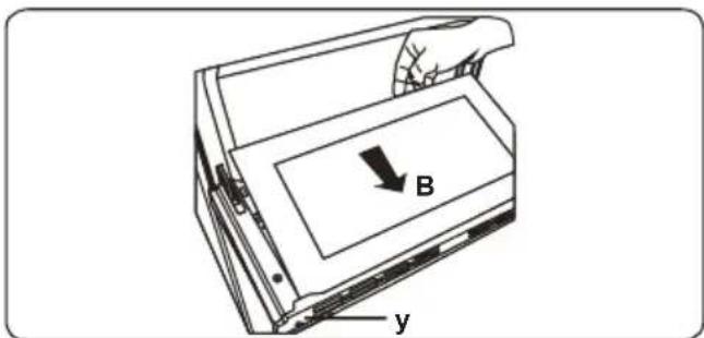 B y