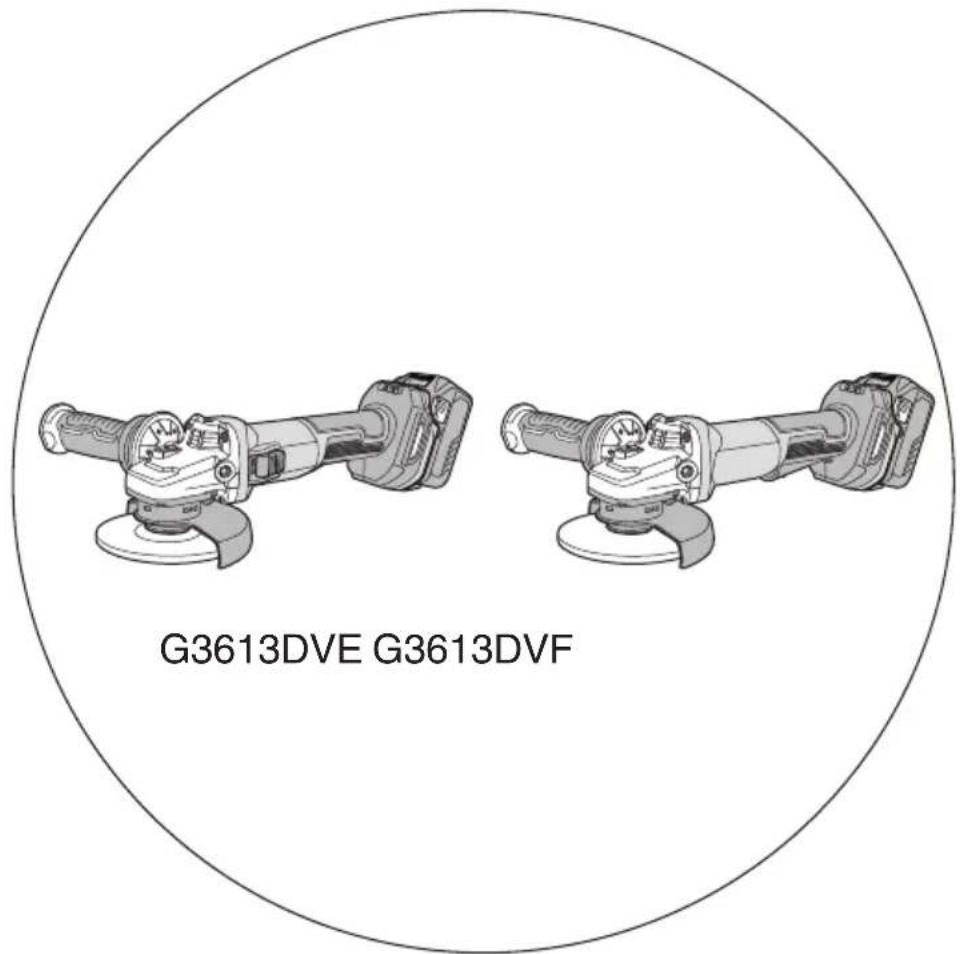 G3613DVE G3613DVF