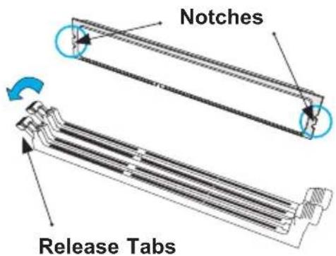 Notches Release Tabs