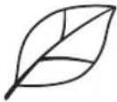 BROTHER ScanNCut SDX135PRO - Examples of illustrations appropriate for recognition mode: - 1