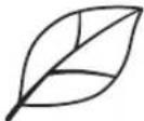 BROTHER ScanNCut SDX2240D - Examples of illustrations appropriate for recognition mode: - 1
