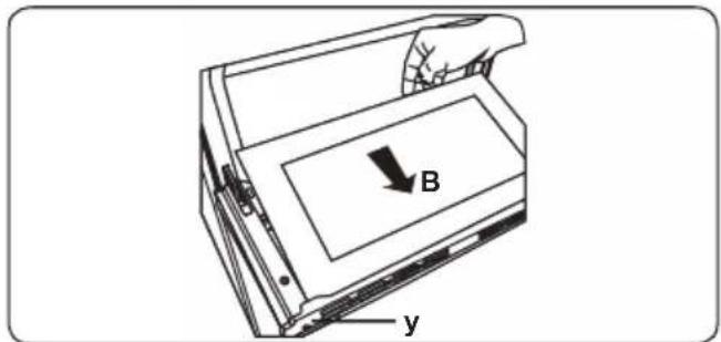 B y