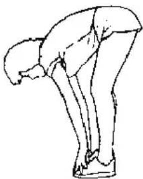 SereneLife SLFOLD20 - INNER THIGH STRETCH - 2