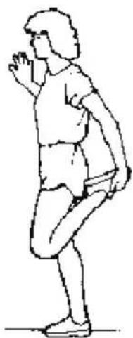 SereneLife SLFOLD20 - SIDE STRETCHES - 1