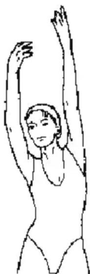 SereneLife SLFOLD20 - SHOULDER LIFTS - 1